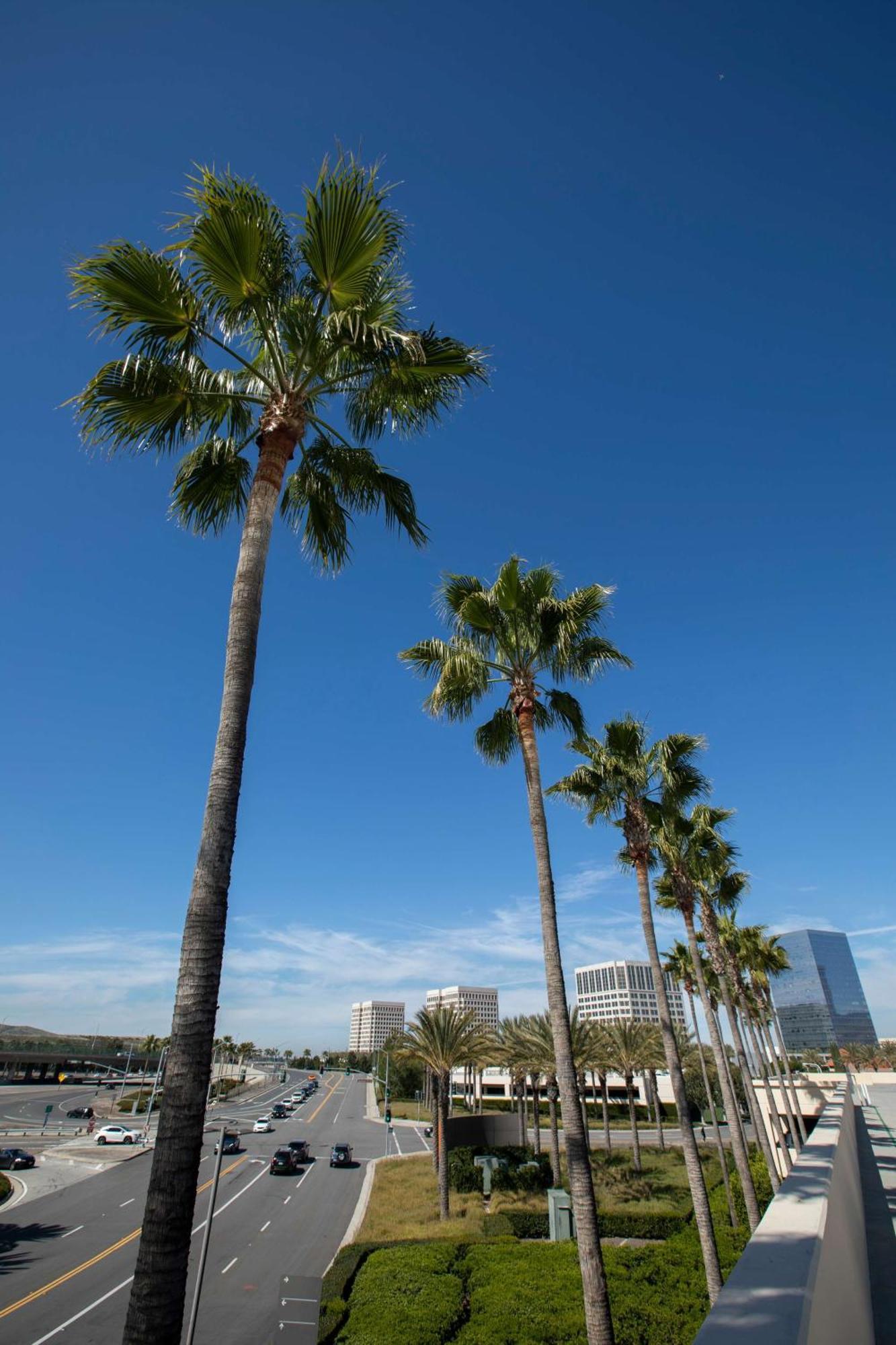 Hyatt Regency Irvine Hotel Eksteriør billede
